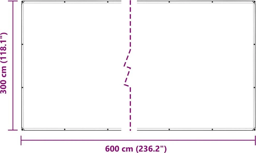 Skaidrus brezentas su kilpomis 3x6 m PVC