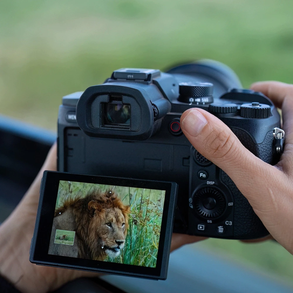 Sony Cyber-shot DSC-RX10 V (DSCRX10M5B.CEC)