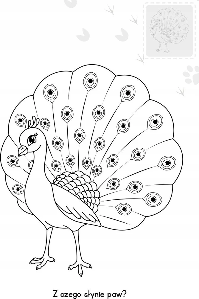 Leidykla „Skrzat“ Vaikai dažo Gyvūnus tamsoje.78336