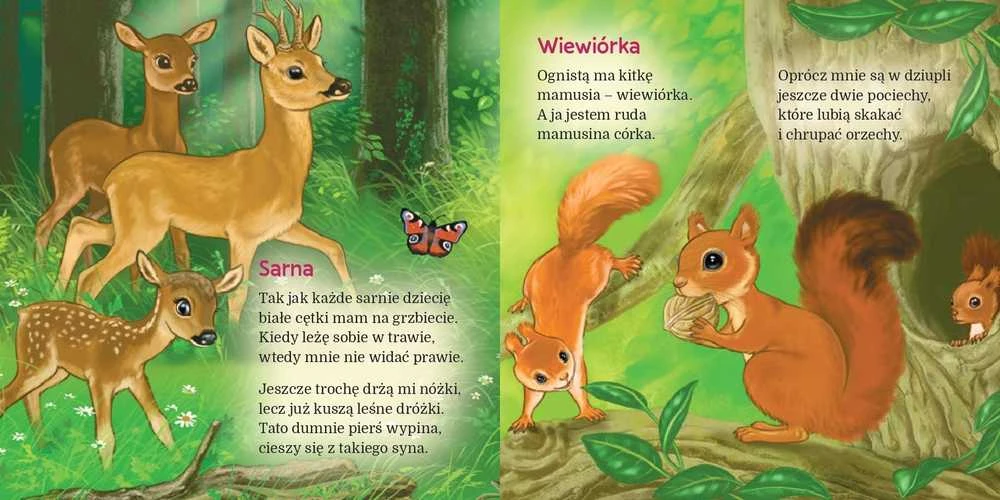 Skrzat Leidykla Europoje Miško voverė 77483