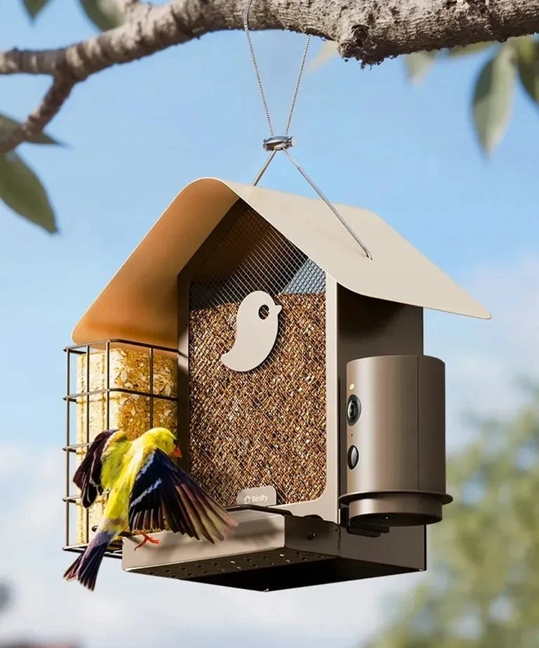 Skrzynkazdrewna „Birdfy Feeder Metal V“ – paukščių lesyklėlė su kamera