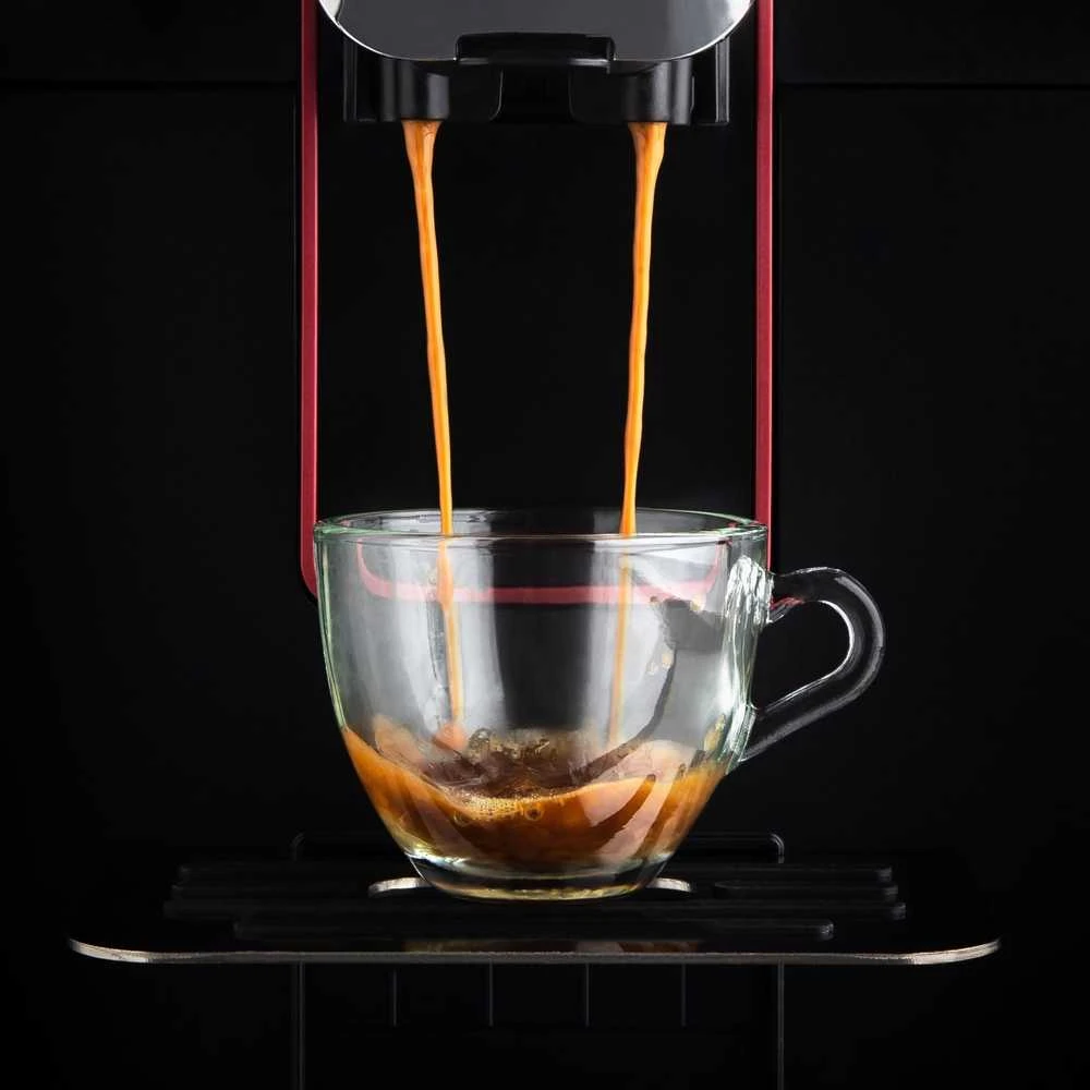RI8700/01 Gaggia Magenta Plus Kavos aparatas