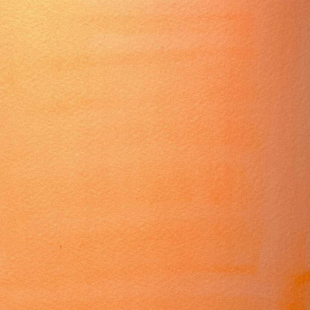 SmartMax Proff. acrylic ink 30ml flourescent oranžinis 982