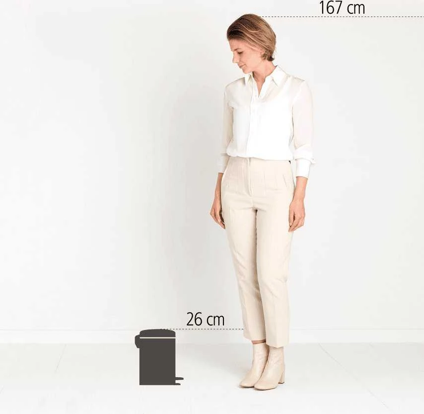 Brabantia Šiukšlių dėžė su pedalu „NewIcon“, 3 l, švelnios smėlio spalvos