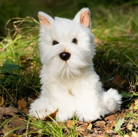 Smily Play pliušinis Westie