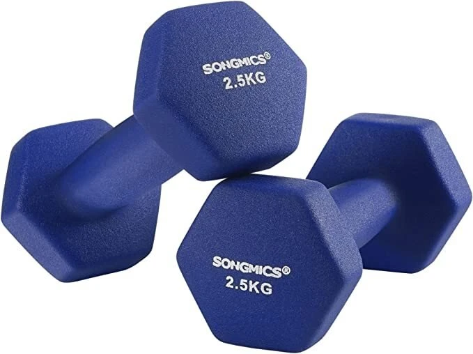 Songmics 2 hantelių rinkinys
