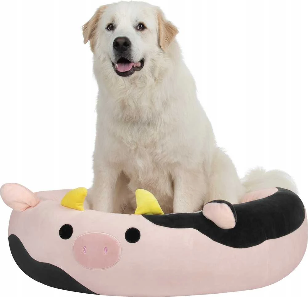 Sourcing JAS PETS guolis S 50CM KRÓWKA