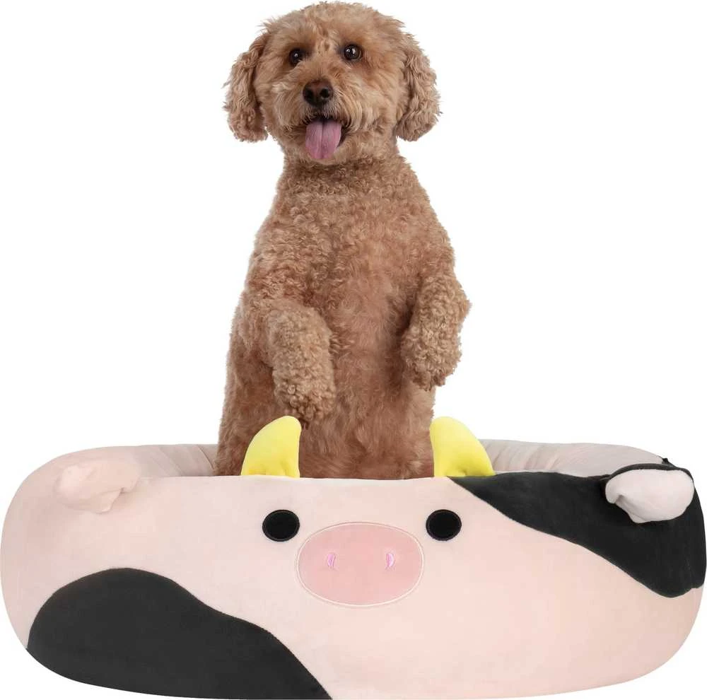 Sourcing JAS PETS guolis S 50CM KRÓWKA