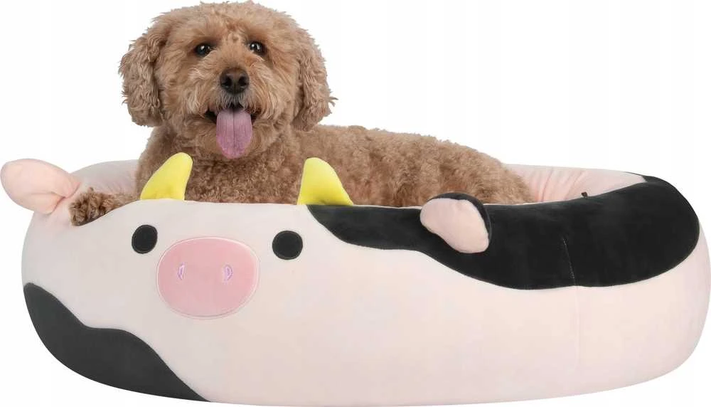 Sourcing JAS PETS guolis S 50CM KRÓWKA