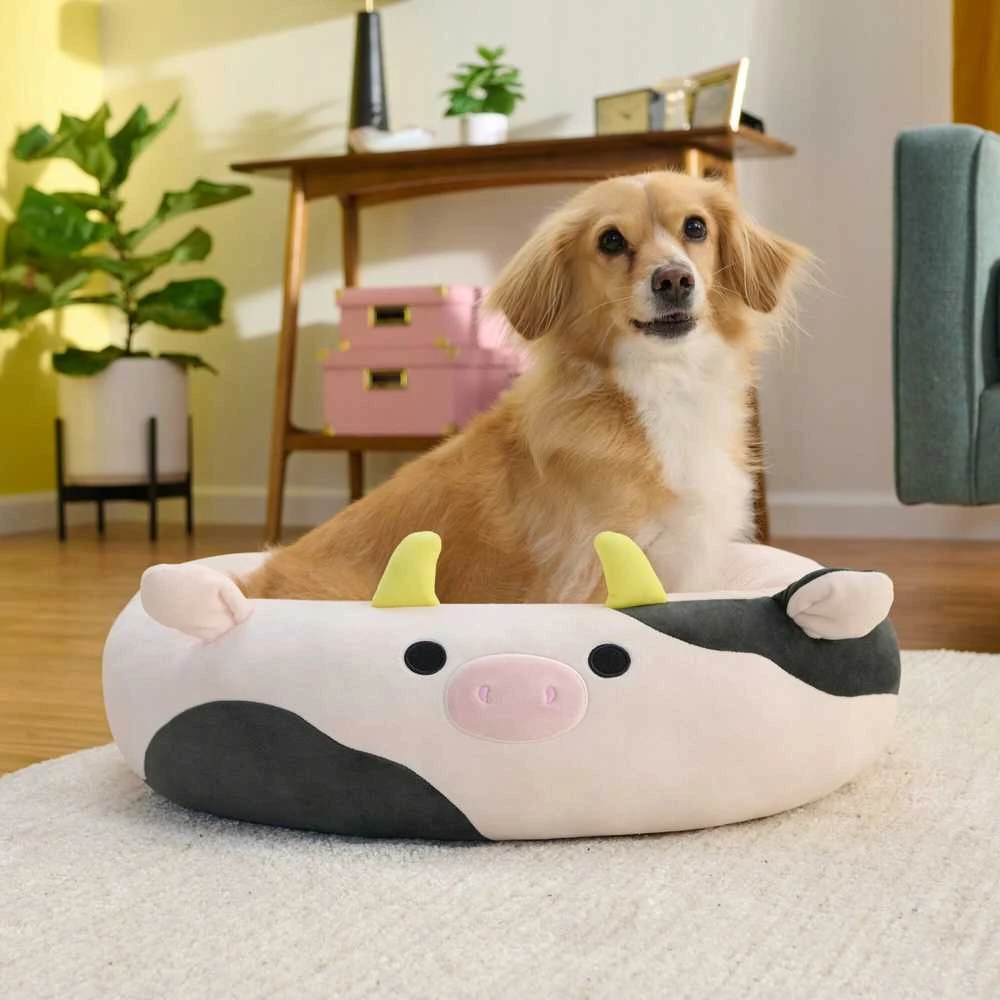 Sourcing JAS PETS guolis S 50CM KRÓWKA