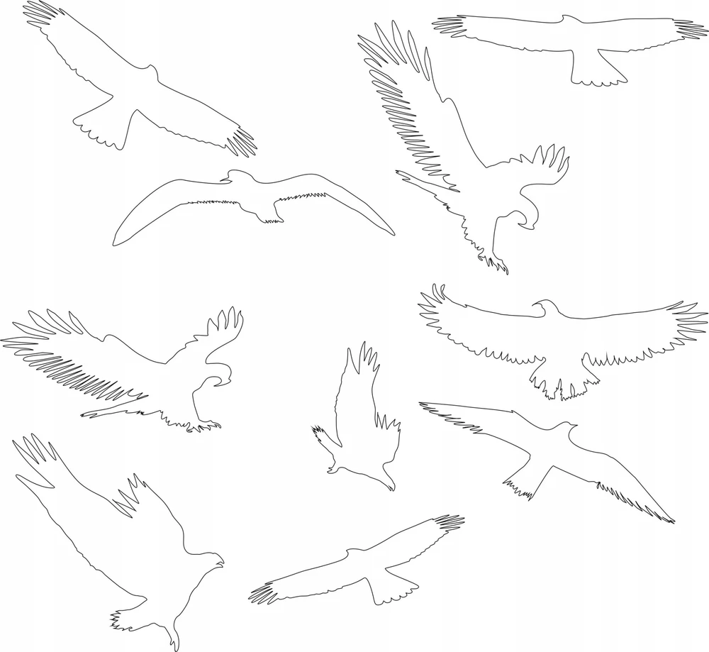 Sourcing Swissinno Bird window sticker (5 pcs of bird collision prevention stickers)
