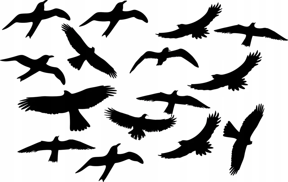 Sourcing Swissinno Bird window sticker (5 pcs of bird collision prevention stickers)