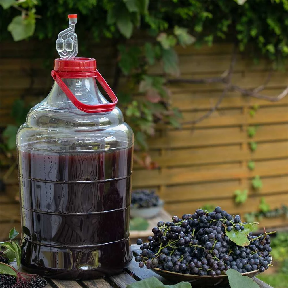 Browin TALPA FERMENTACIJAI PLASTIKINĖ 15L