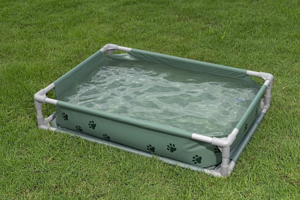 Bestway Priežeminė šunų žaidimų baseinas Žalia 102 x 74 x 20 cm