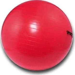 Spartan Kamuolys gimnastika 75 cm