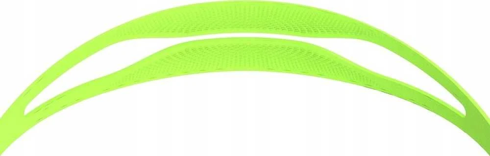 Speedo BIOFUSE* 2.0 akiniai GOG AU