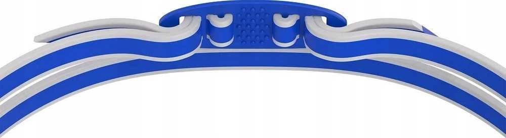 Speedo Plaukimo akiniai VANQUISHER 3.0