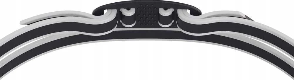 Speedo Plaukimo akiniai VANQUISHER 3.0