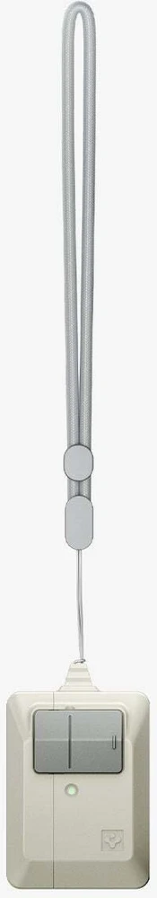 Dėklas „Spigen Classic LS“, akmens spalvos – „Apple AirPods Pro 3“