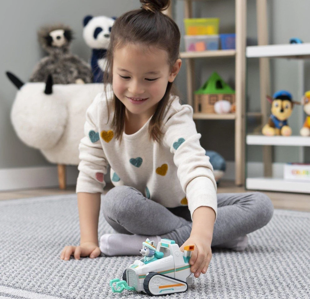Playset Spin Master Paw Patrol Everest