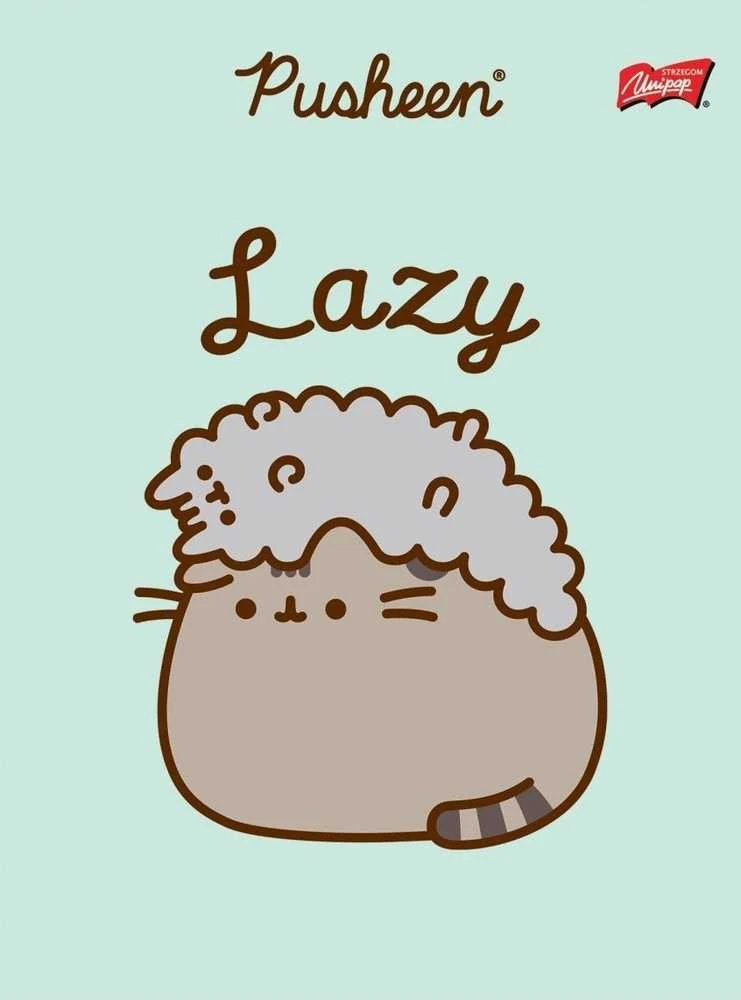 St. Majewski MAJEWSKI Užrašų knygelė A5 32k dvigubai linijuotas dviejų spalvų laminuotas Pusheen p15 mišinio kaina už 1 vnt.