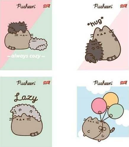 St. Majewski MAJEWSKI Užrašų knygelė A5 32k dvigubai linijuotas dviejų spalvų laminuotas Pusheen p15 mišinio kaina už 1 vnt.