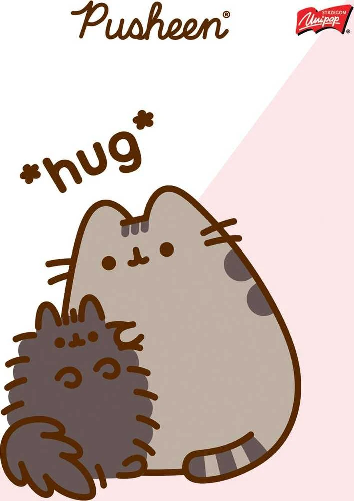 St. Majewski MAJEWSKI Užrašų knygelė A5 32k dvigubai linijuotas dviejų spalvų laminuotas Pusheen p15 mišinio kaina už 1 vnt.