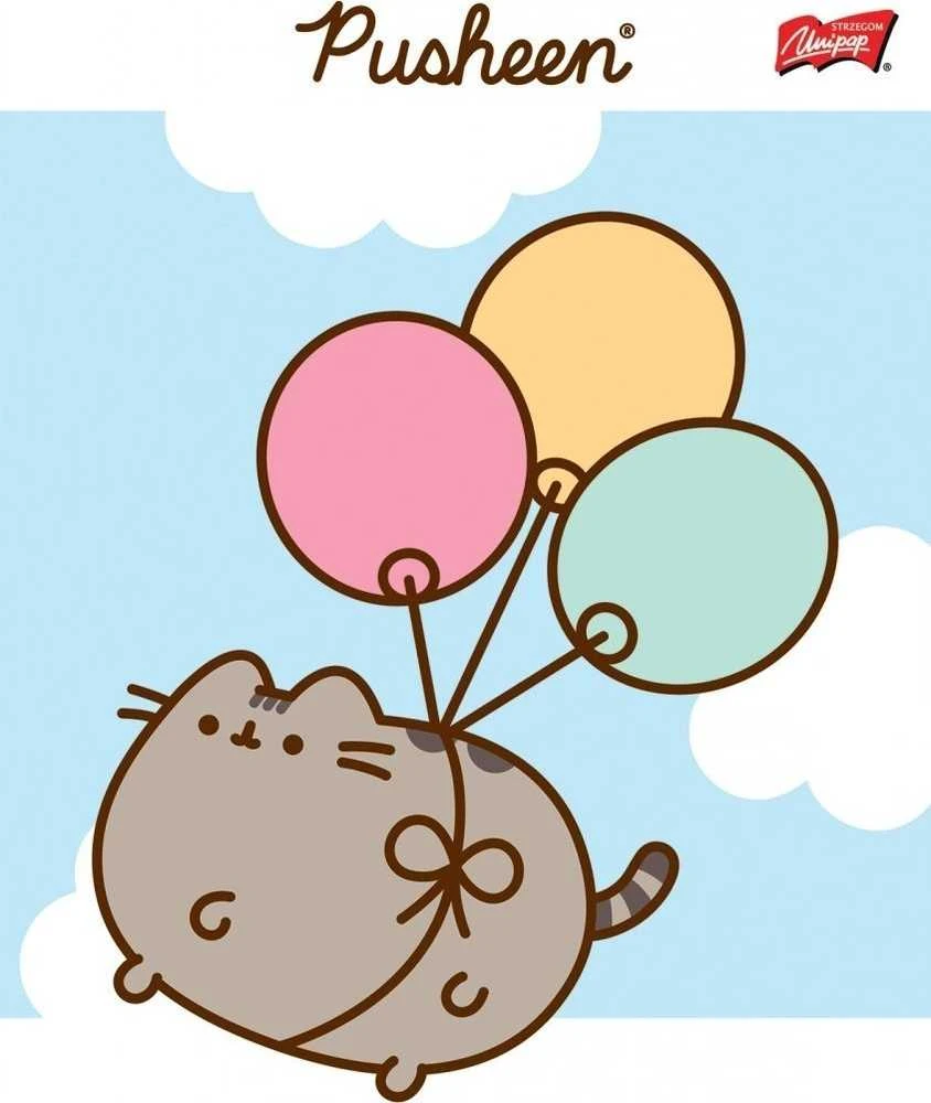 St. Majewski MAJEWSKI Užrašų knygelė A5 32k dvigubai linijuotas dviejų spalvų laminuotas Pusheen p15 mišinio kaina už 1 vnt.