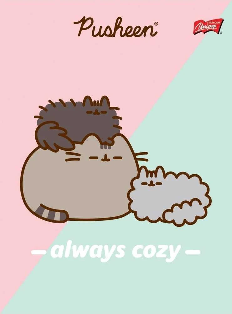 St. Majewski MAJEWSKI Užrašų knygelė A5 32k dvigubai linijuotas dviejų spalvų laminuotas Pusheen p15 mišinio kaina už 1 vnt.