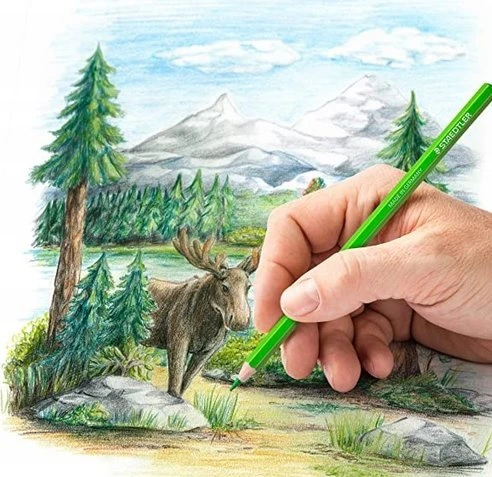 Staedtler spalvinimo pieštukai, 72 vnt., metalinė dėžutė