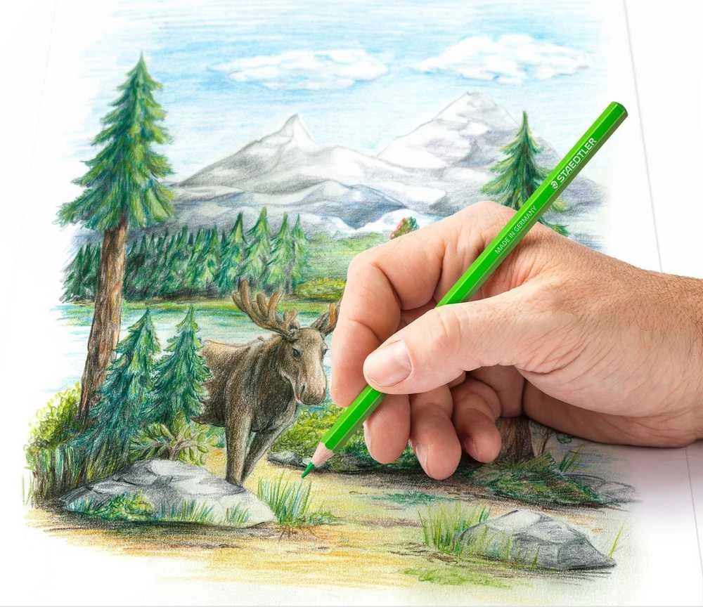 Staedtler spalvinimo pieštukai, 72 vnt., metalinė dėžutė
