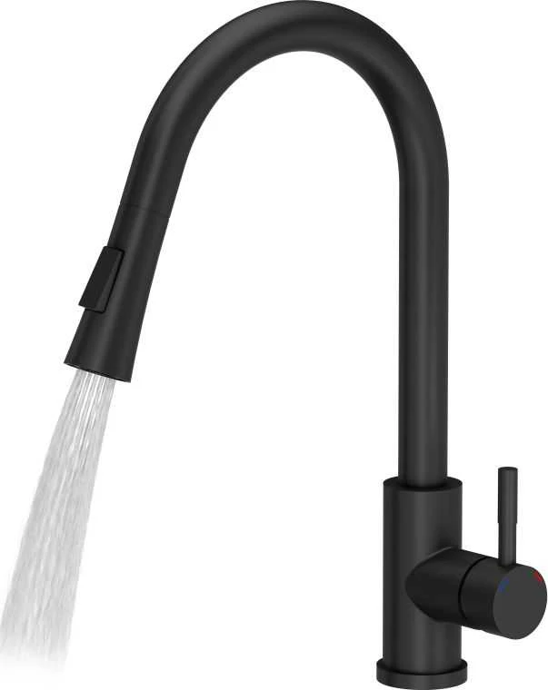 Virtuvinis maišytuvas Quadron Julia 3673500BLM, juodas