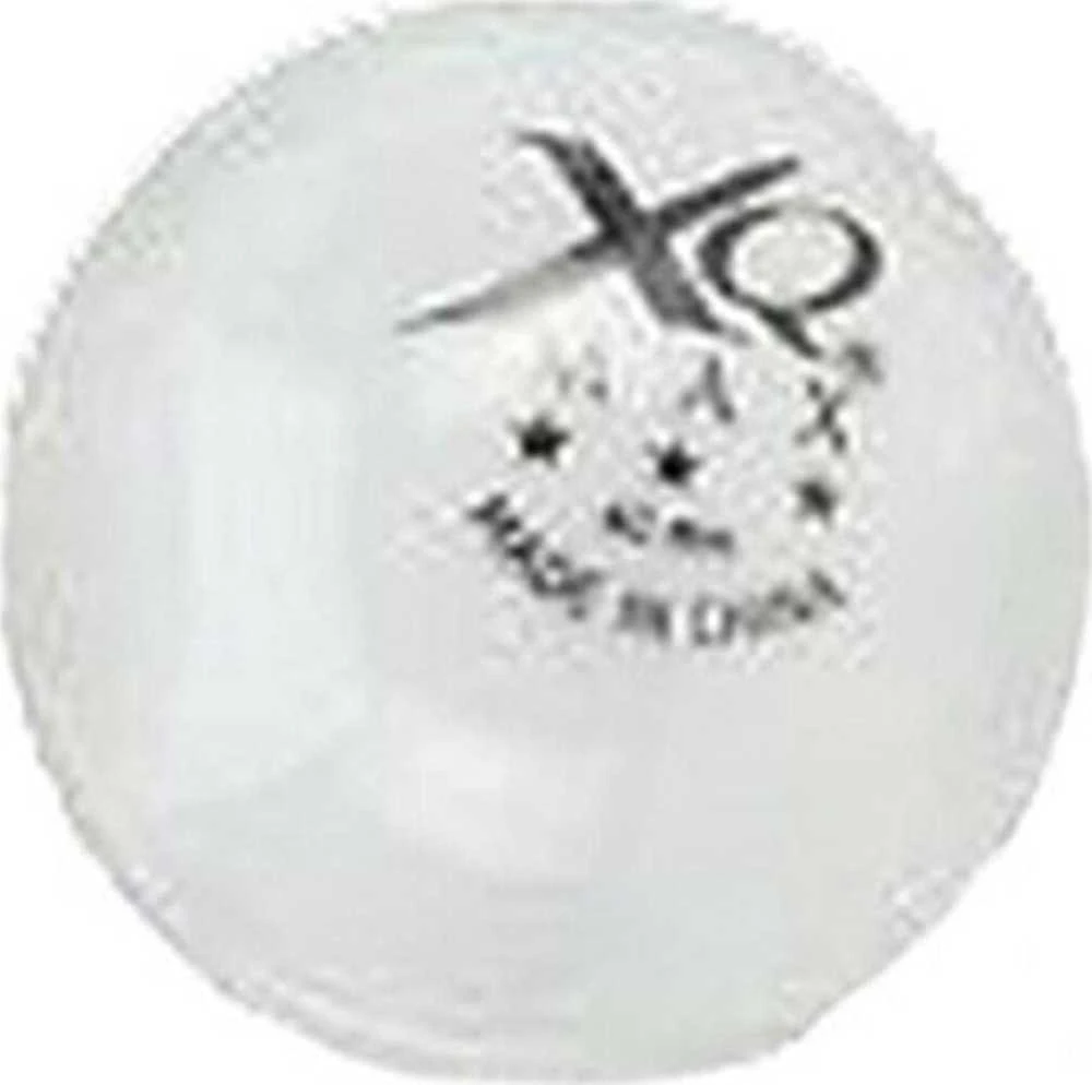 Baltos stalo teniso kamuoliukai XQMAX 12 vnt