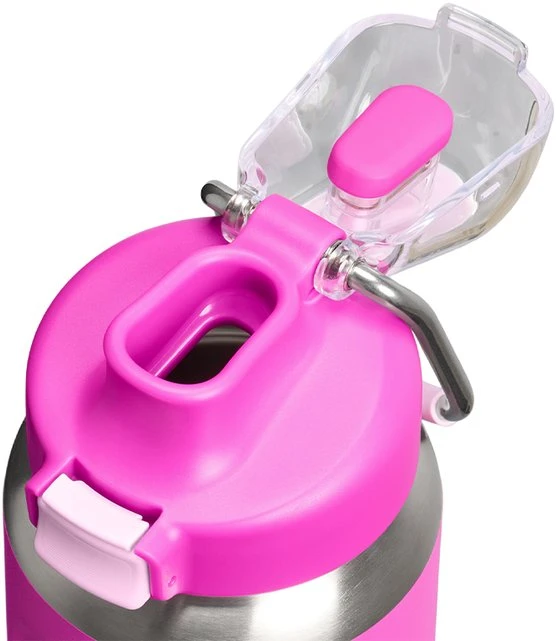 Stanley termoso butelis „Classic Wellspring Violet Blossom“, 0,71 l