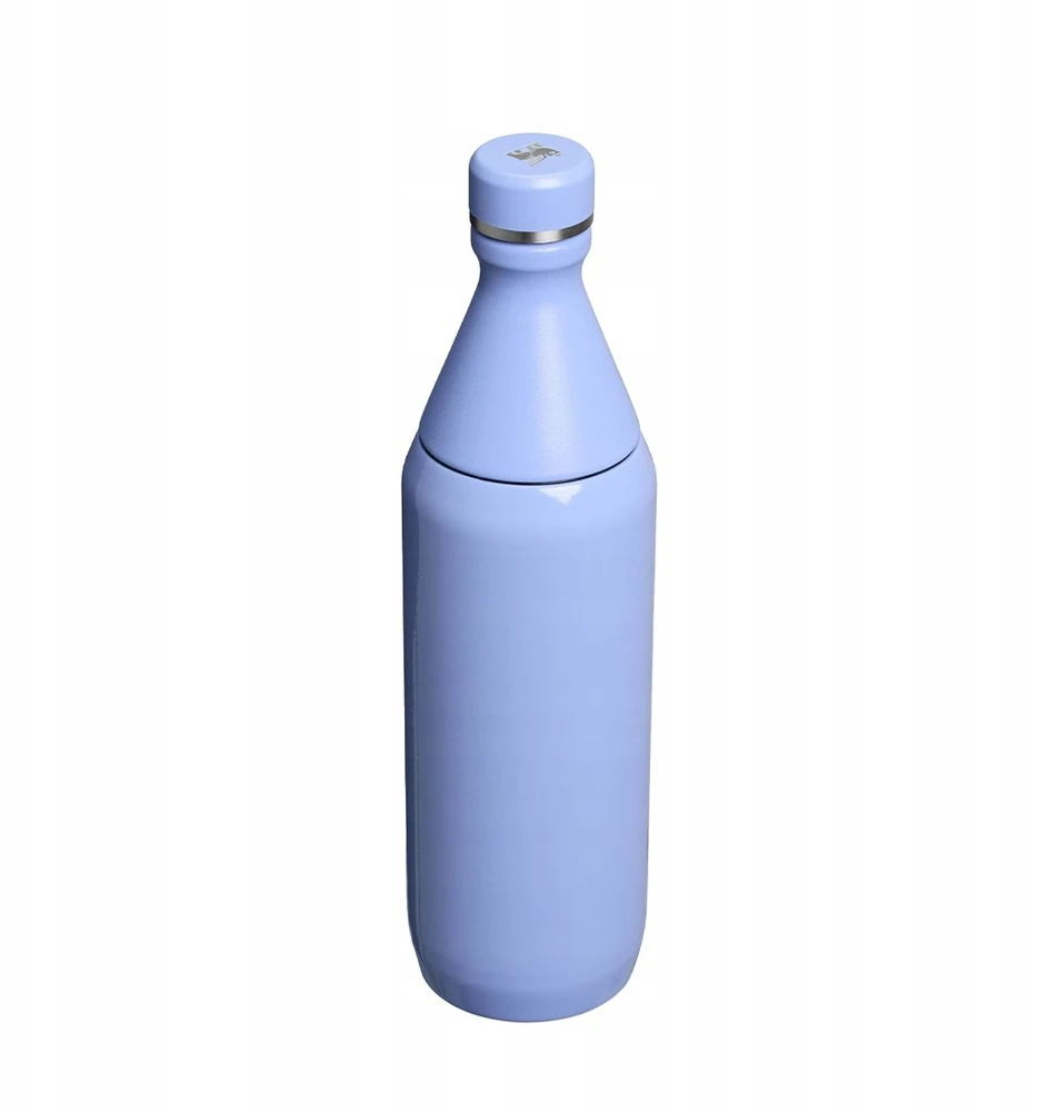 Stanley All Day Slim termo buteliukas 600 ml, hortenzijų blizgesio