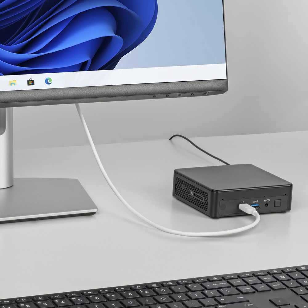 StarTech USB-C - DisplayPort adapteris veikiantis su monitoriumi