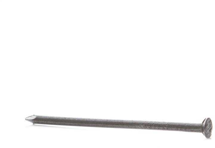 Statybinės vinys HAUSHALT, 100×4 mm, 1kg