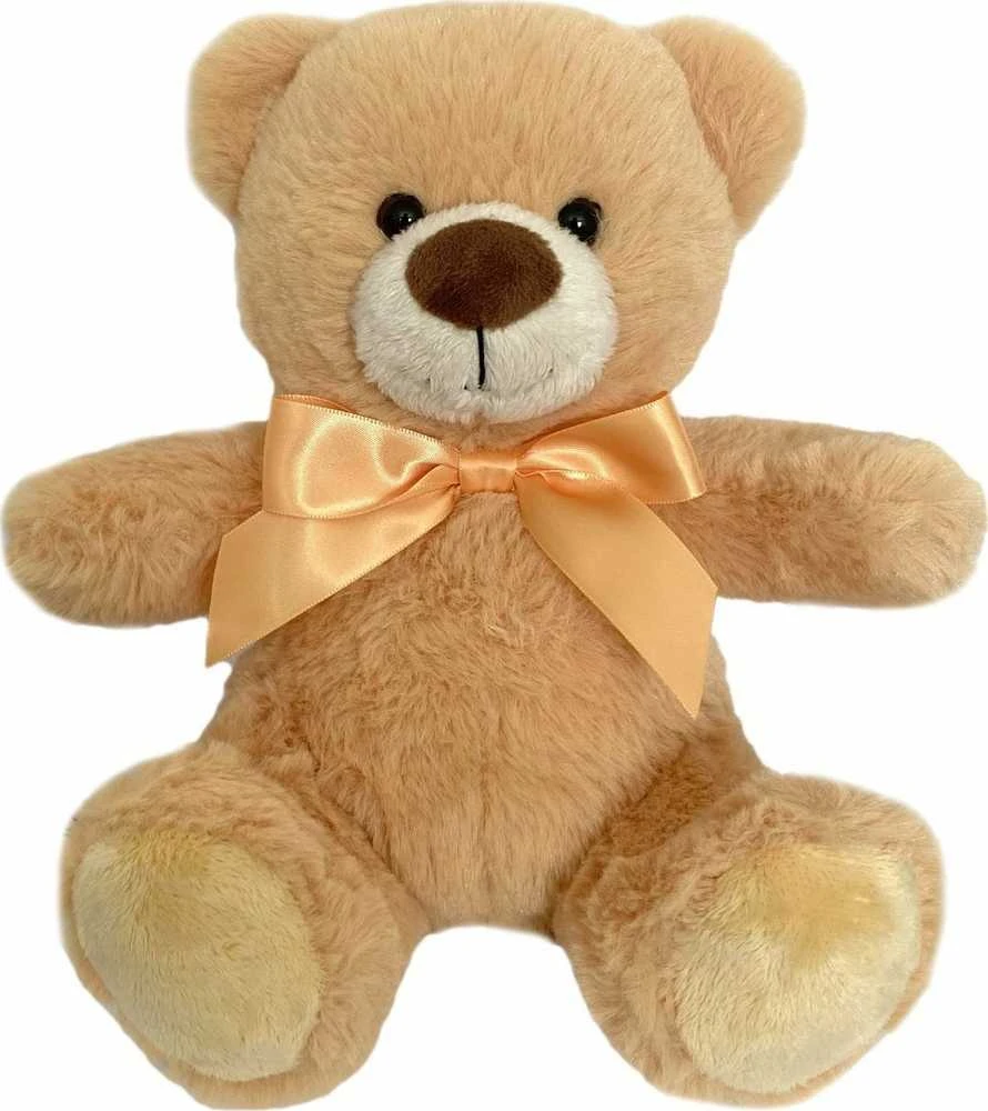 None Nežinomas Pliušinis žaislas Teddy bear, rudas, 20 cm