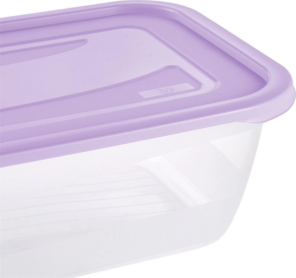 Stoneline Keeeper Pārtikas trauciņu komplekts taisnstūrveida 2x3 3L Fredo „Fresh“ caurspīdīgs/maigi violets