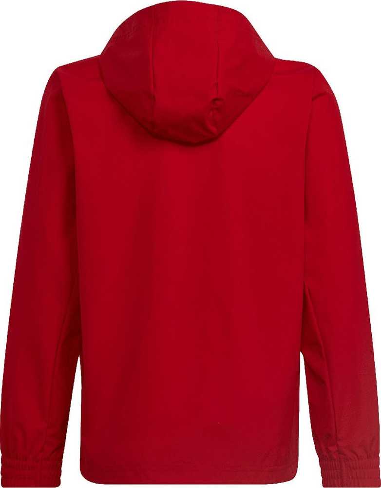 Striukė vaikams adidas Entrada 22 All-Weather raudona IK4013 176cm