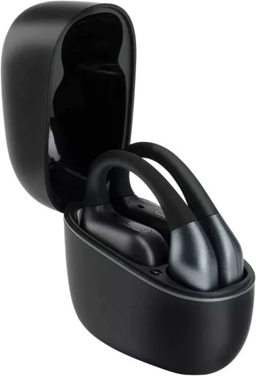 „Panasonic“ belaidės ausinės RB-F10DE-K, juodos