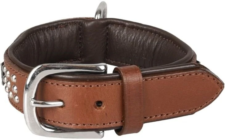 Šuniuko antkaklis Flamingo Sedona ruda 26-31 cm 33 mm