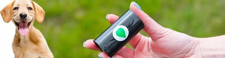 Šunų išmatų maišai, 300 vnt., 20 ritinėlių, žali + dėžutė