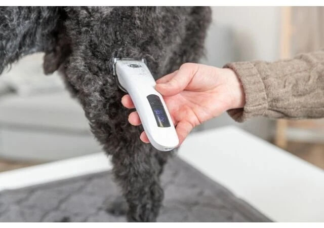 Šunų kirpimo mašinėlė Trixie TR1600, šunų kirpimo mašinėlė, 10 W, balta, belaidis, 2000 mAh