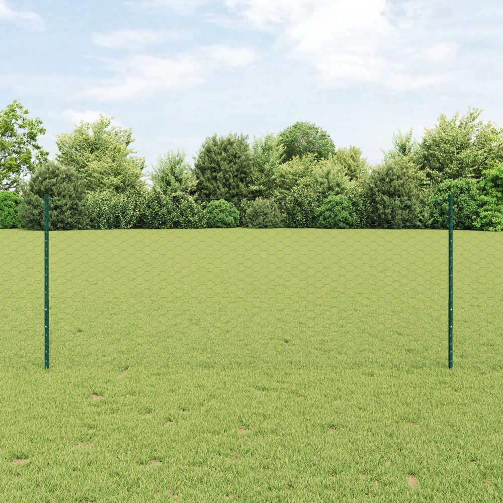 Hexagonal Fence with Post 50 x 1 m PVC dengtas plienas Žalia