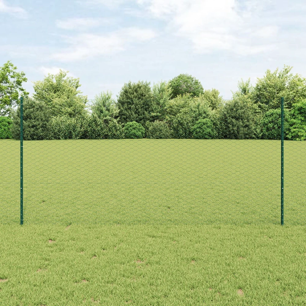 Hexagonal Fence with Post 100 x 1,2 m PVC dengtas plienas Žalia