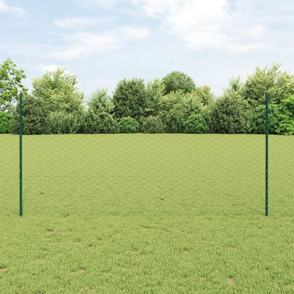 Hexagonal Fence with Post 100 x 1,2 m PVC dengtas plienas Žalia