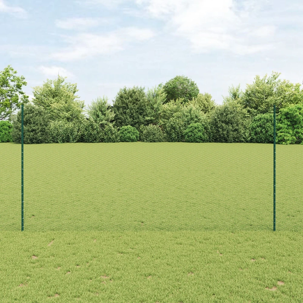 Hexagonal Fence with Post 100 x 1,6 m PVC dengtas plienas Žalia