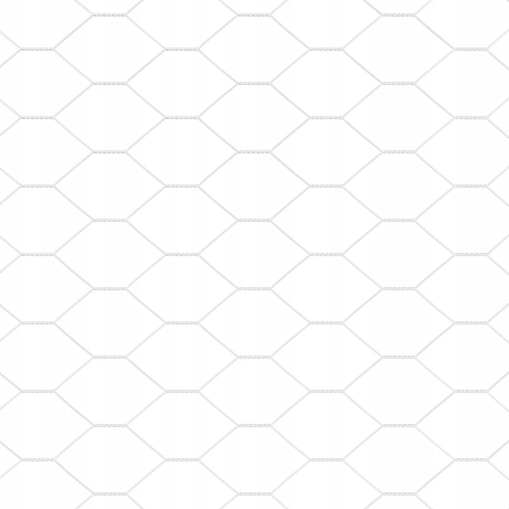 Hexagonal Fence with Post 100 x 1,6 m Galvanizuotas plienas