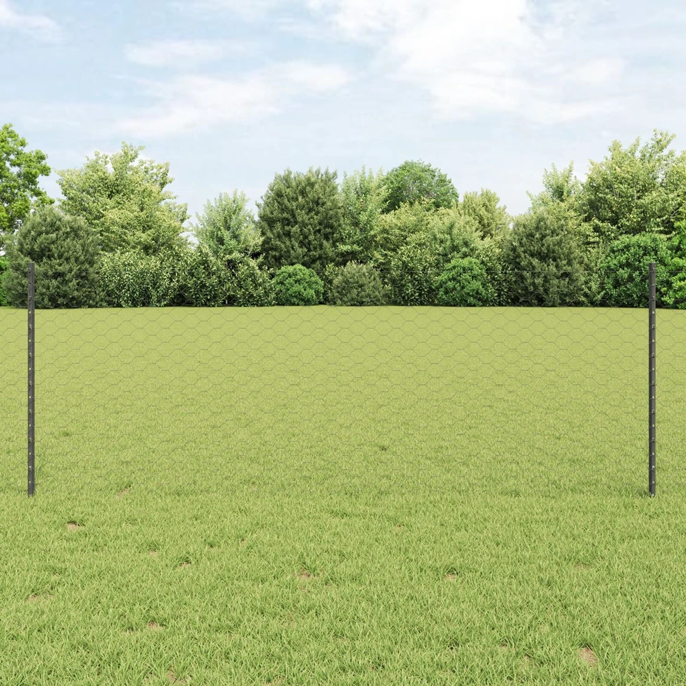 Hexagonal Fence with Post 10 x 0,8 m PVC dengtas plienas Pilka